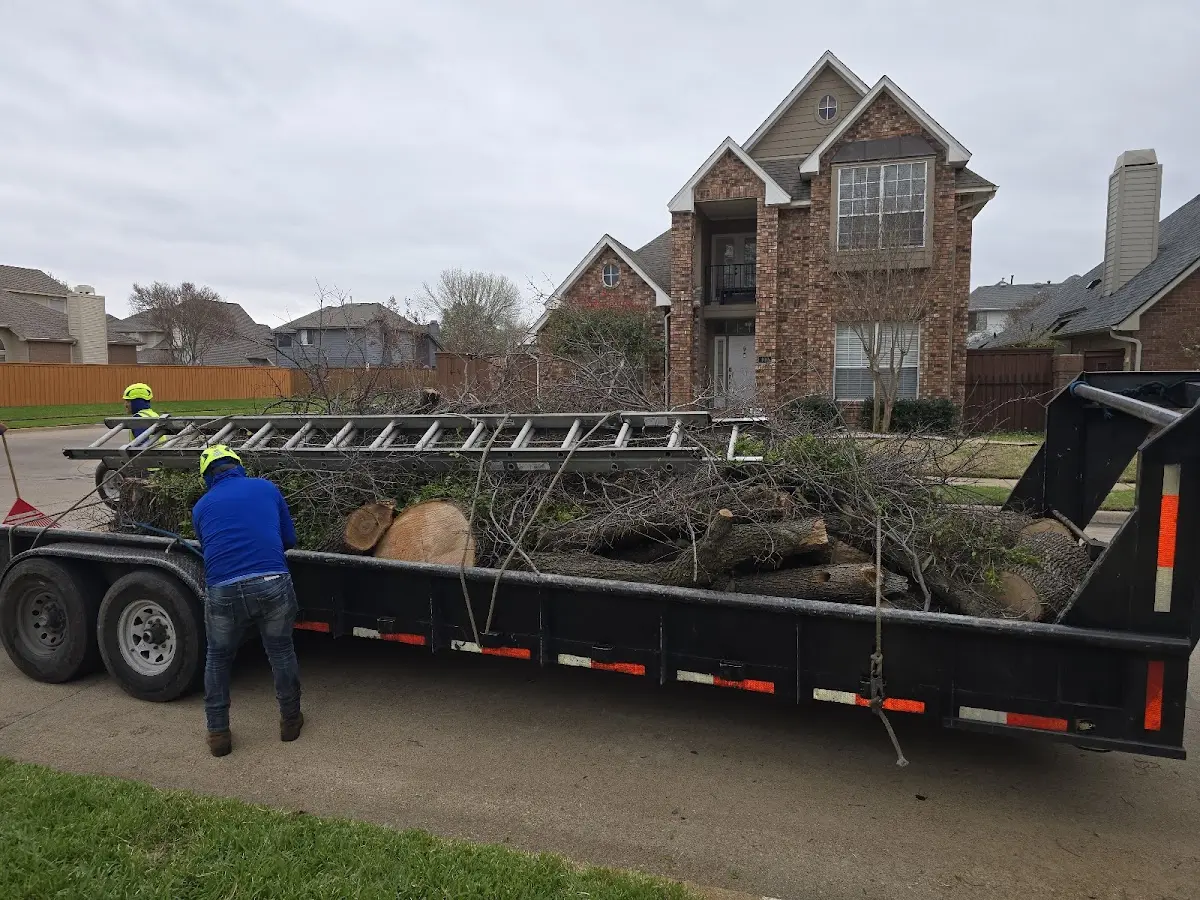 Expert Tree Removal with proper safety equipment in Galliano